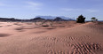possessed kenshi review possessed kenshi review