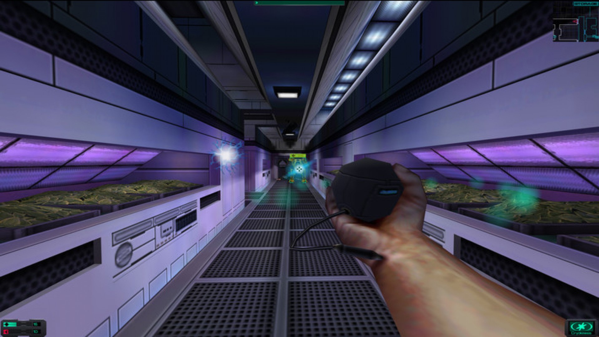 is system shock 2 coop
