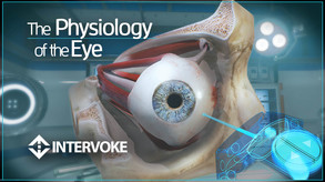 The Physiology of the Eye