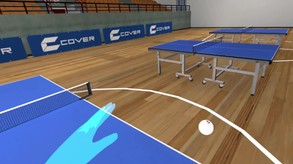 Ping Pong League