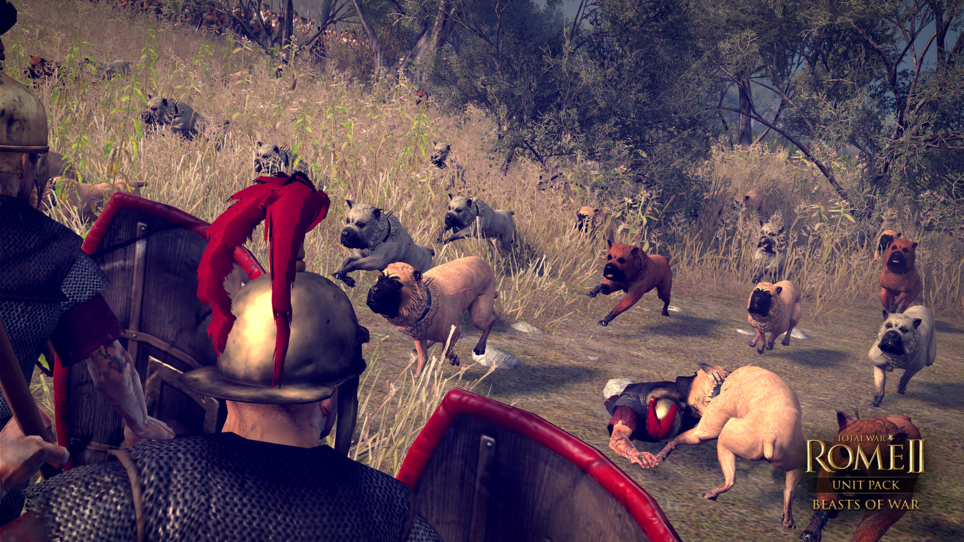 Total War: ROME II - Beasts of War Unit Pack screenshot
