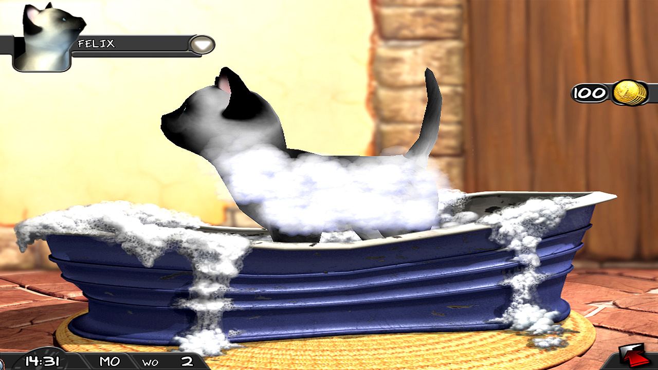 Like Cats And Dogs English Subtitles Like Cats And Dogs English Subtitles