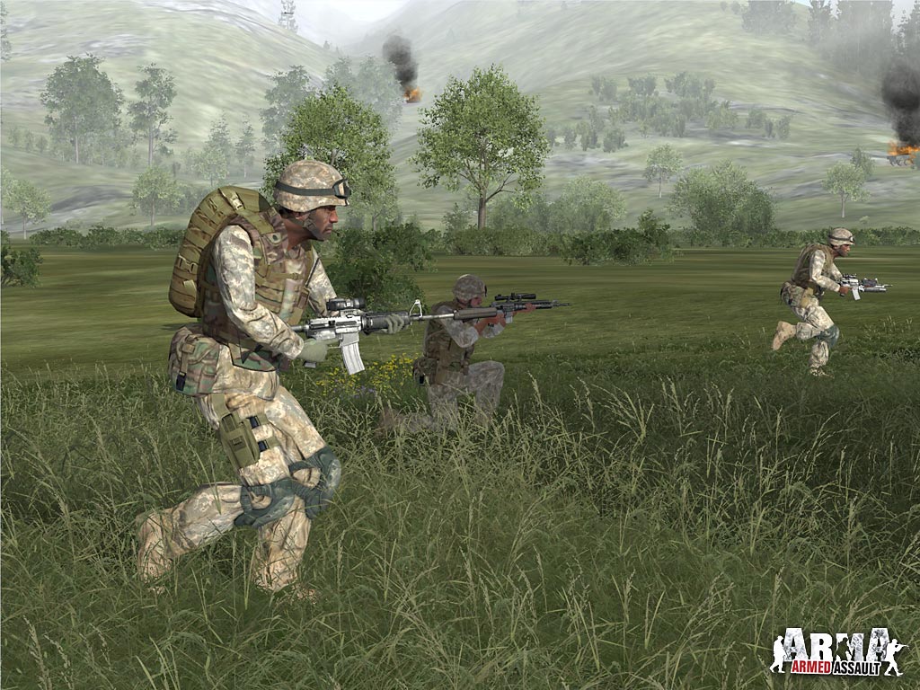 ARMA: Combat Operations screenshot