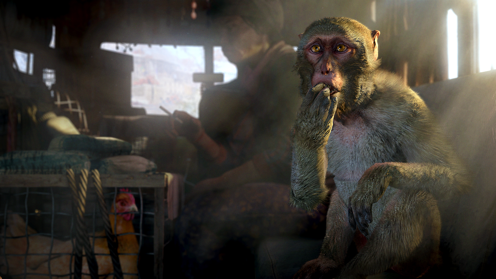Far Cry 4 Resimleri 
