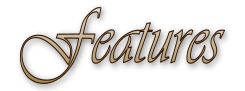 diviniastorepageheaders-features.png?t=1448341843