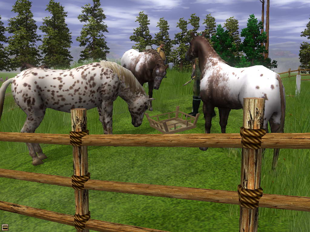 Wildlife Park 2 - Horses screenshot