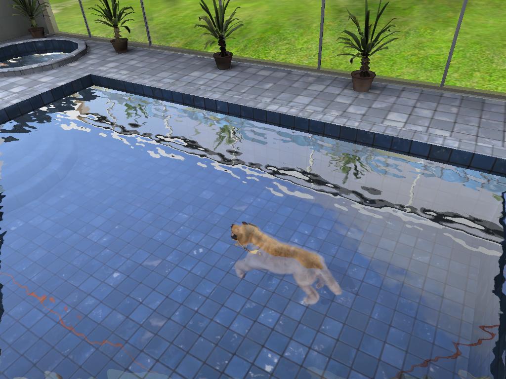 Paws and Claws: Pampered Pets screenshot