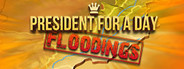 President for a Day: Flooding