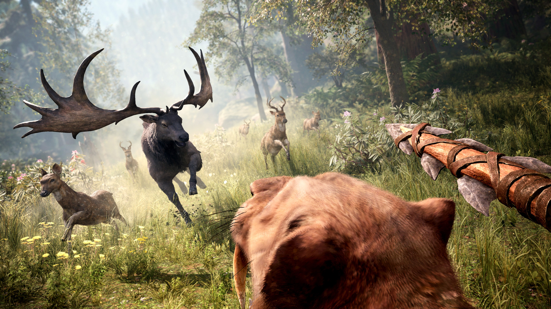 Far Cry Primal 4