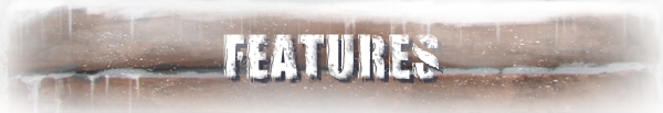 Features-ICY.png?t=1437150507