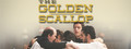 Buy The Golden Scallop