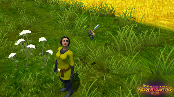 скриншот Villagers and Heroes: Vanguard's Pack 3