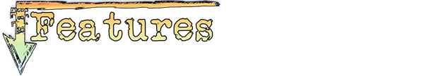 features_3.png?t=1453376926