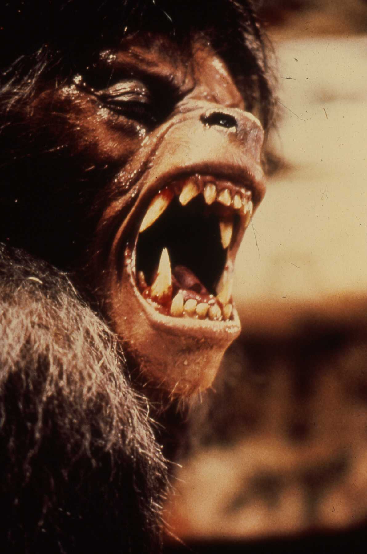 An American Werewolf in London screenshot
