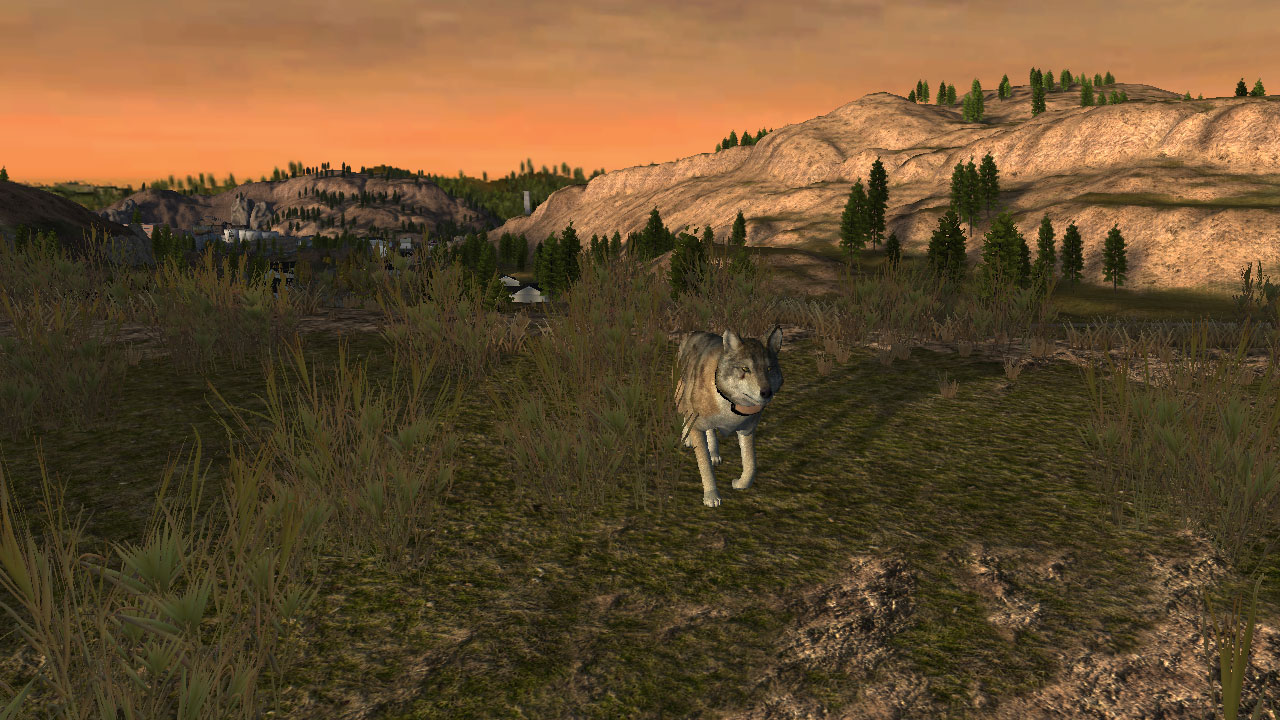wolf games downloads