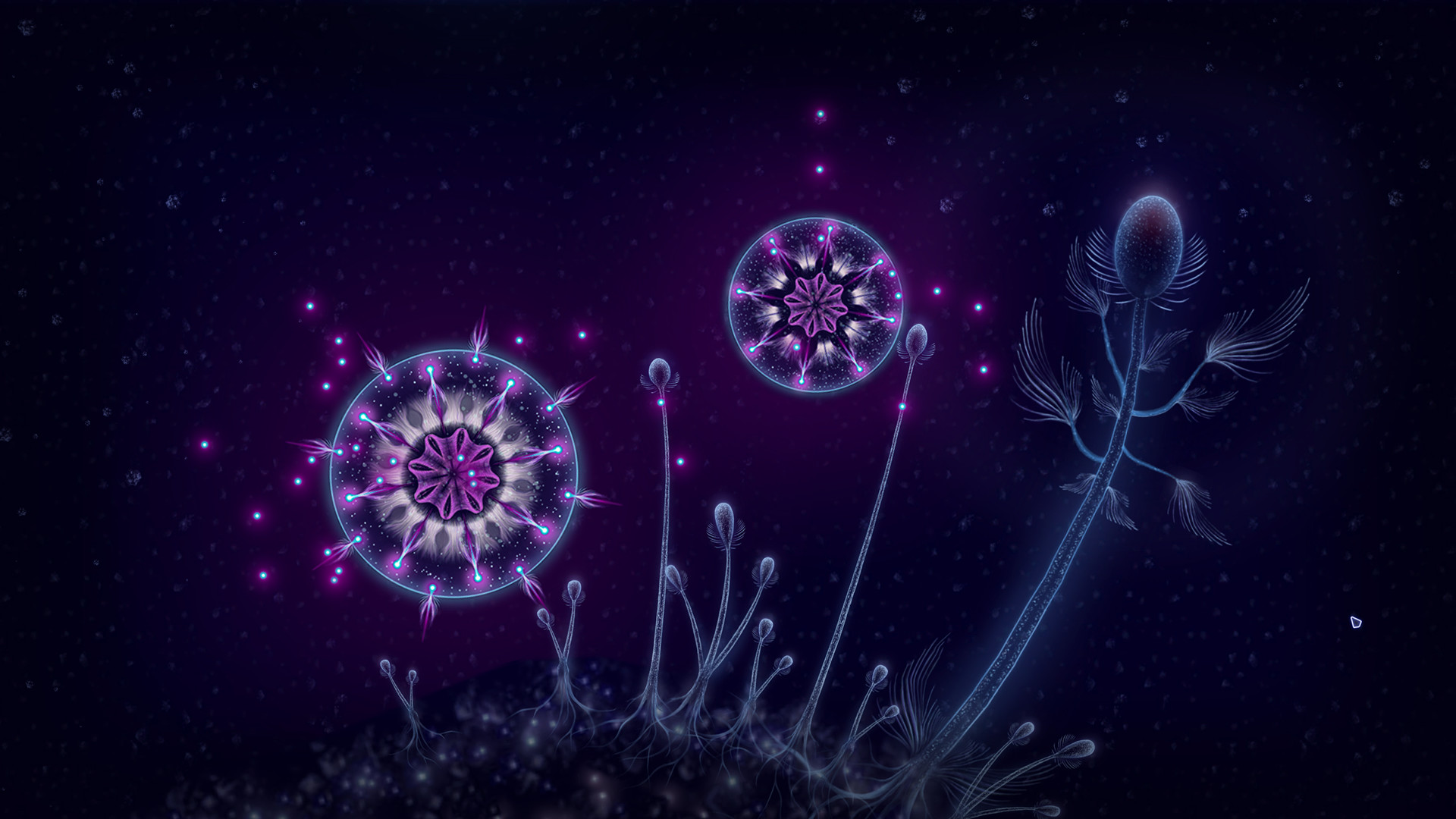 Microcosmum: survival of cells - Colors for organisms screenshot