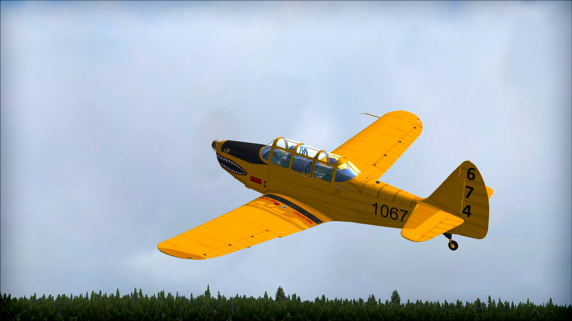 FSX: Steam Edition - Fairchild PT-26 Cornell Add-On screenshot