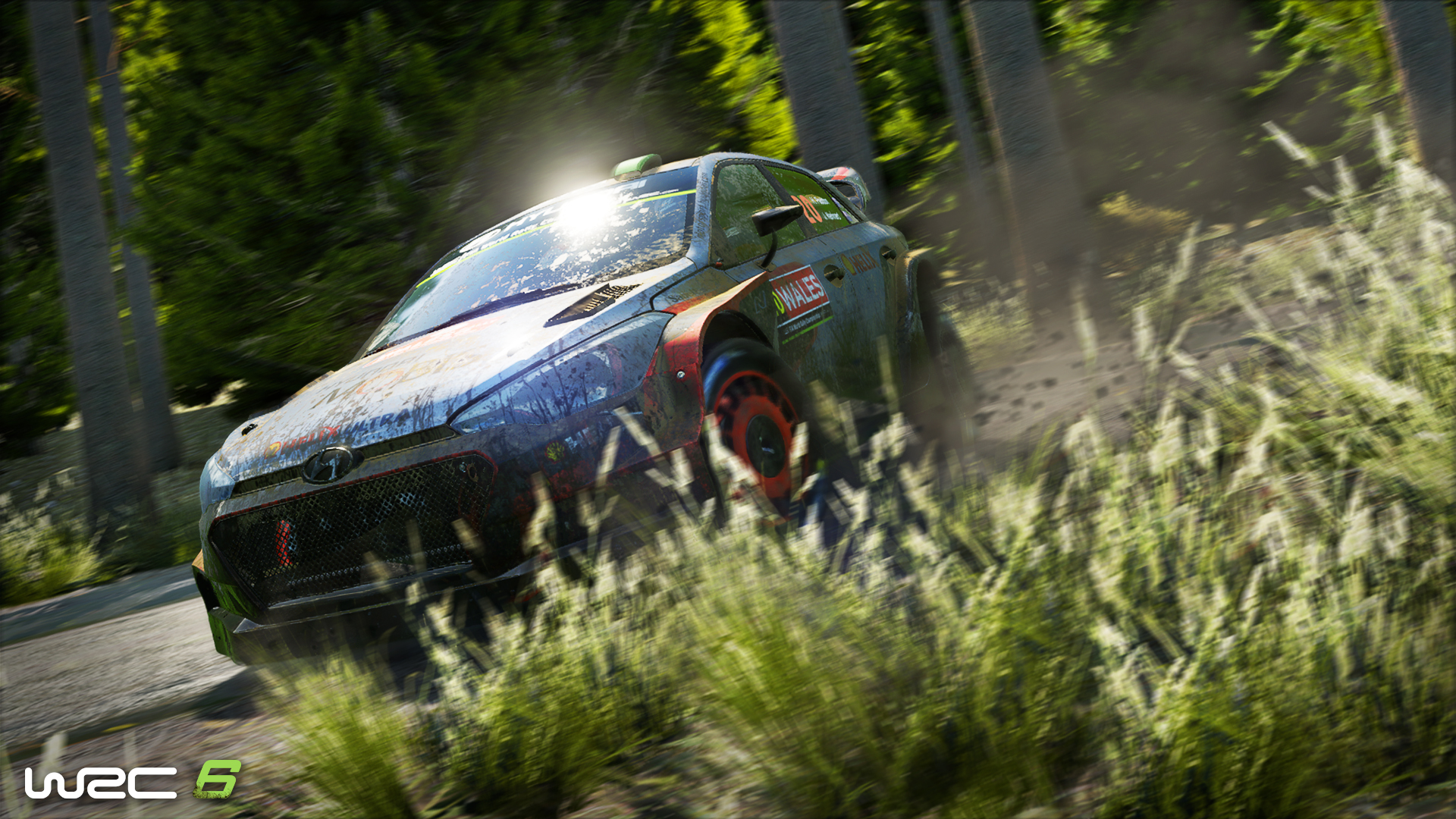 WRC 6 FIA World Rally Championship Resimleri 