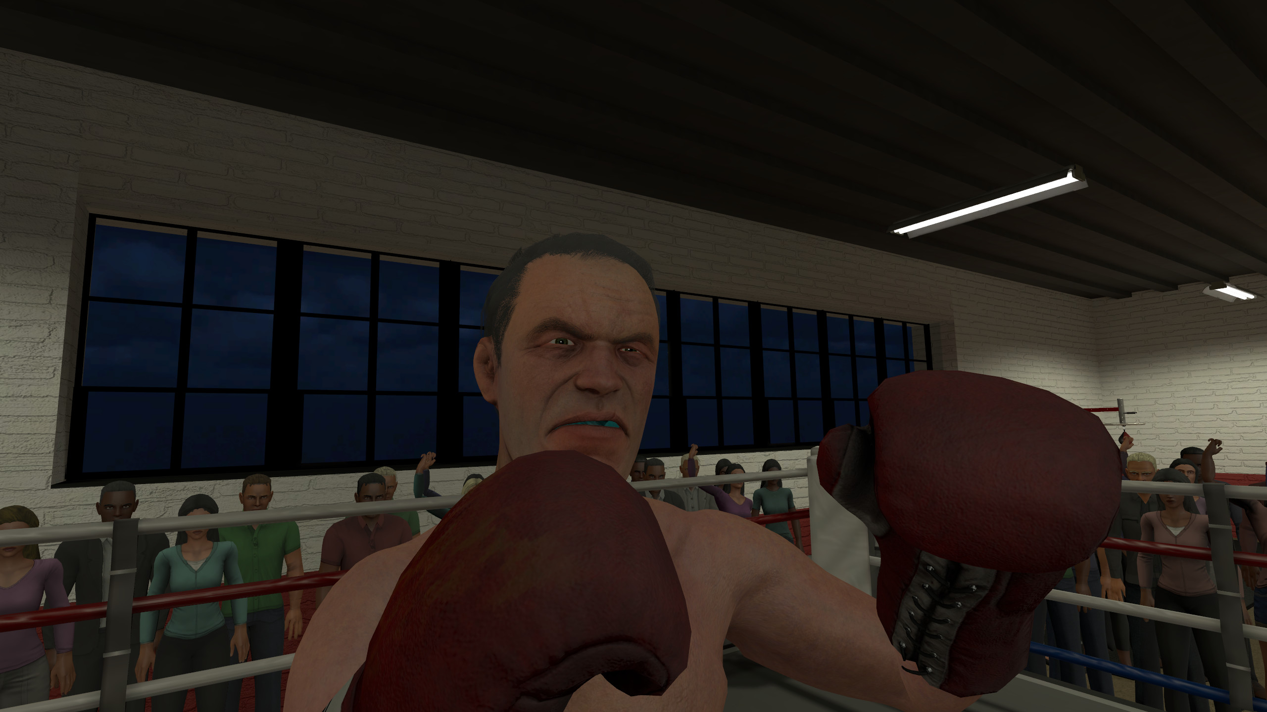 The Thrill of the Fight - VR Boxing screenshot