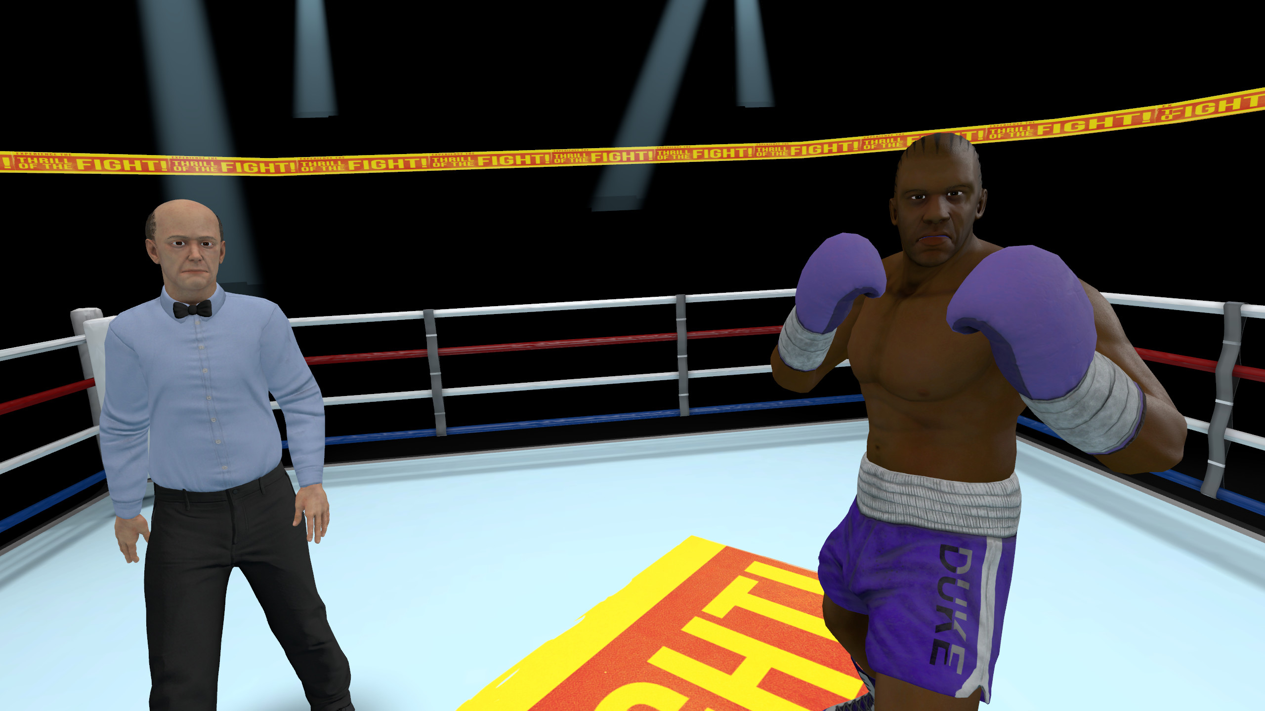 The Thrill of the Fight - VR Boxing screenshot