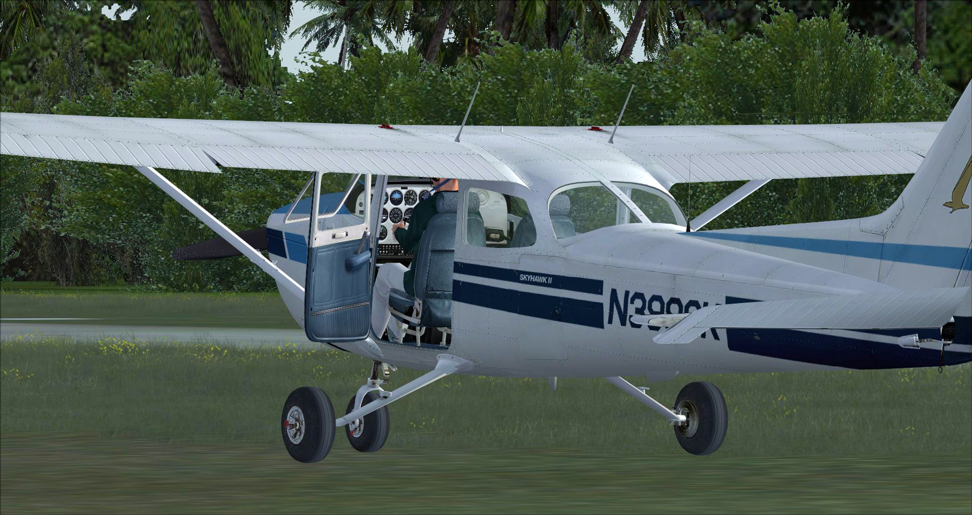 FSX Steam Edition: Cessna C172N Skyhawk II Add-On screenshot