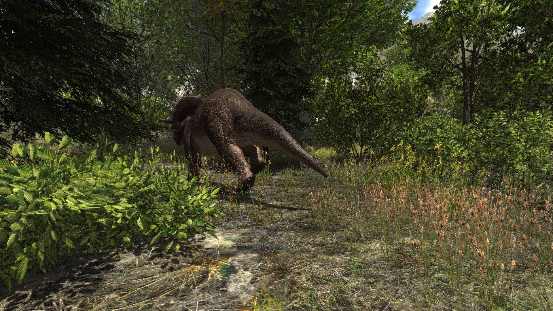 Dinosaur Forest screenshot