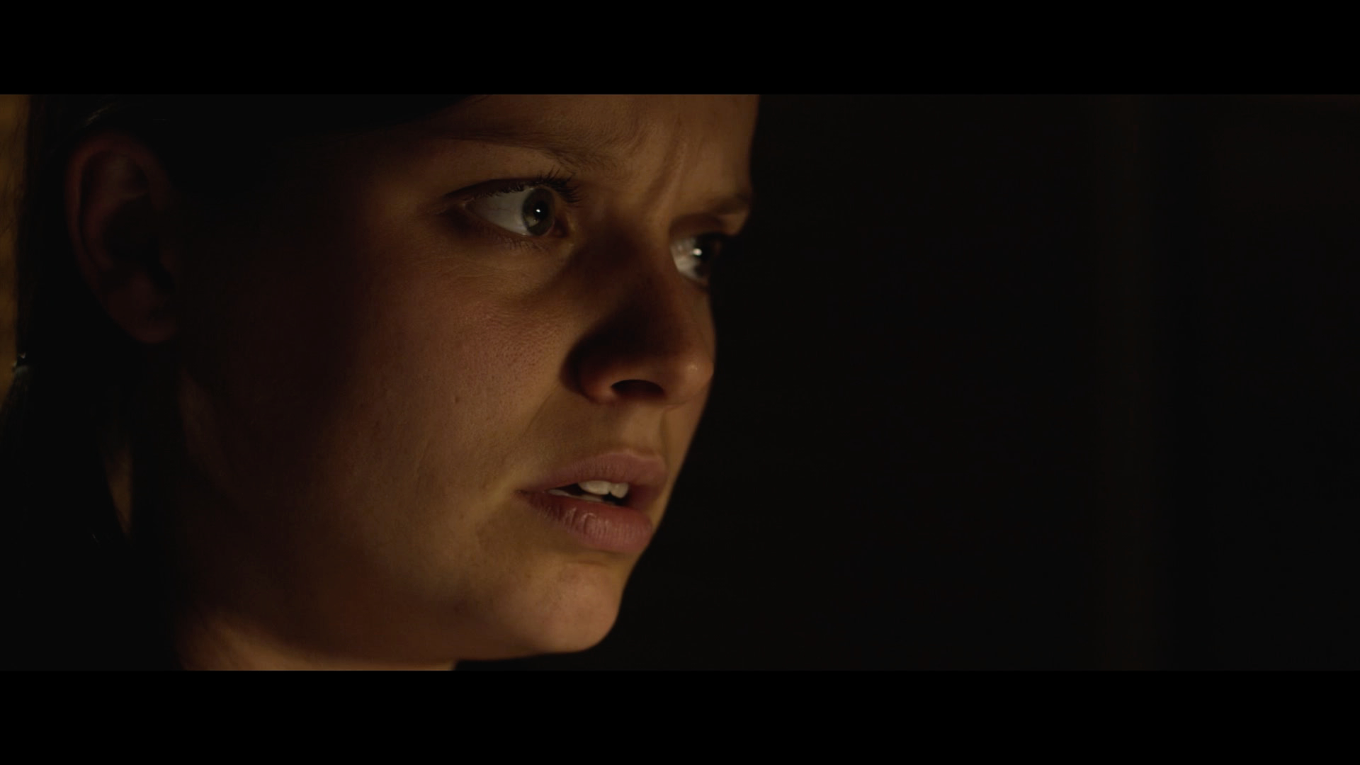 6 Plots screenshot