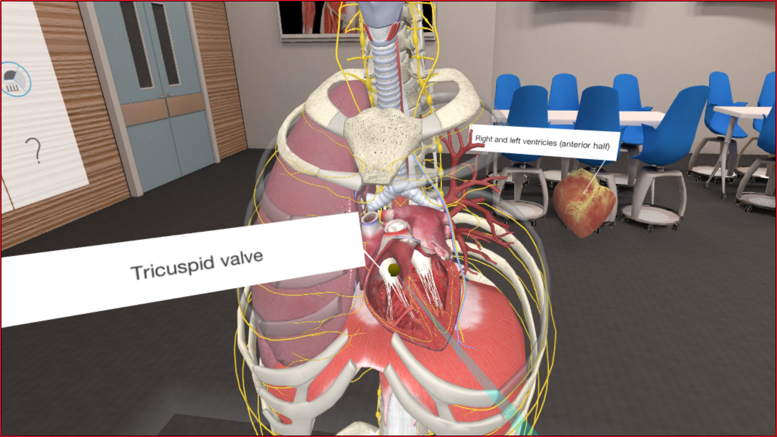 3D Organon VR Anatomy 2018 screenshot