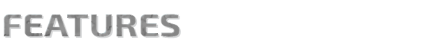 features1.png?t=1485248885