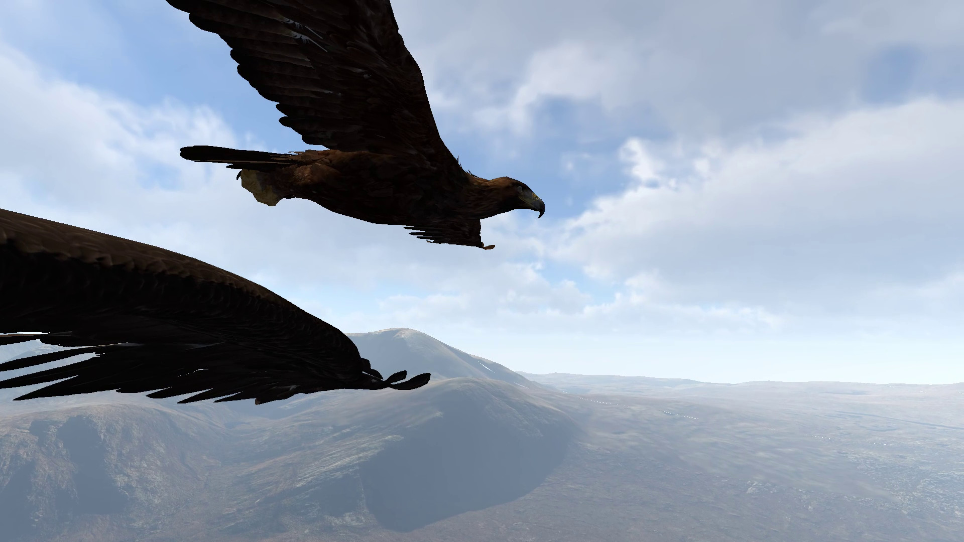 Aquila Bird Flight Simulator screenshot