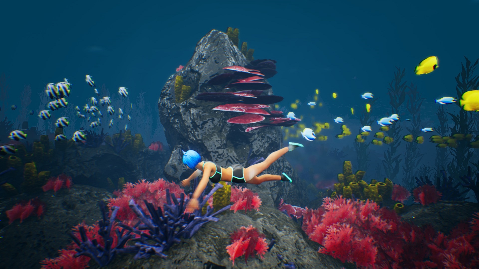 Capsa screenshot