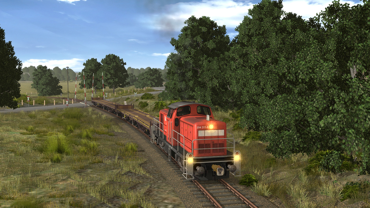 Trainz 2019 DLC: Laadgs Transporter screenshot