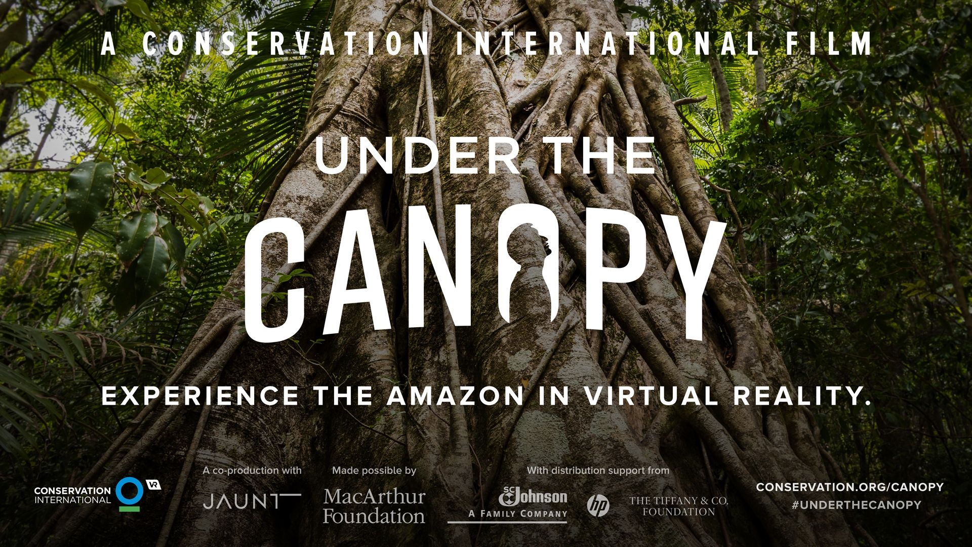 Under the Canopy screenshot