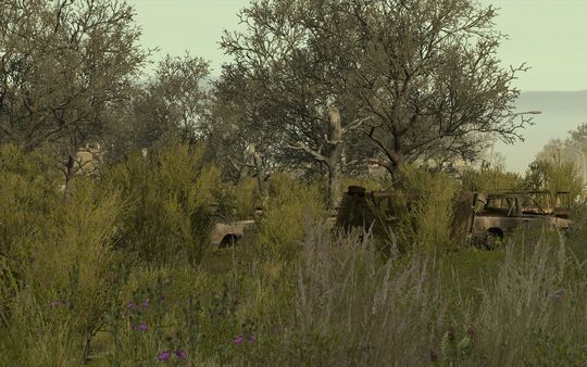 Arma 2: Private Military Company