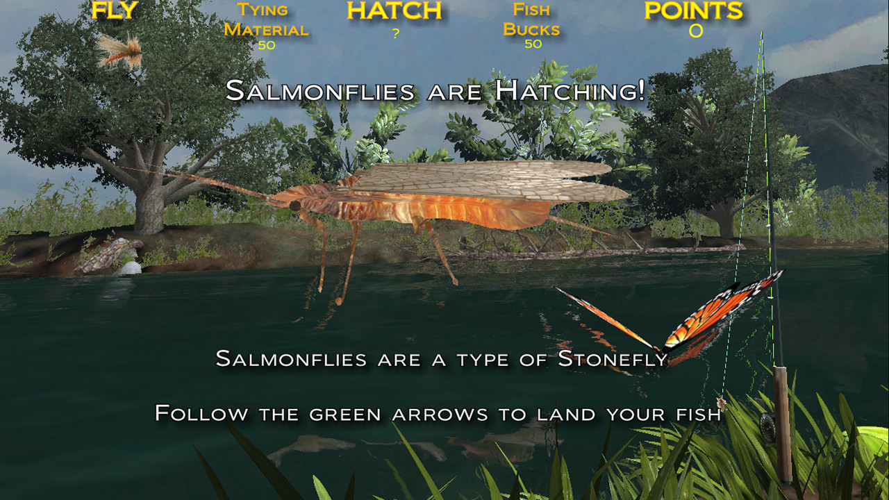Fishing on the Fly screenshot