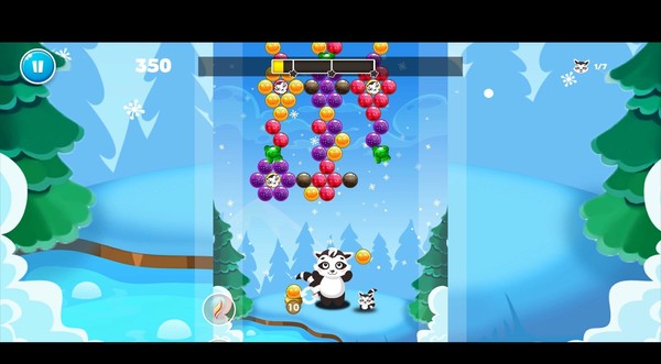 Raccoon Hero: The Frost