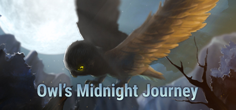 Owl's Midnight Journey