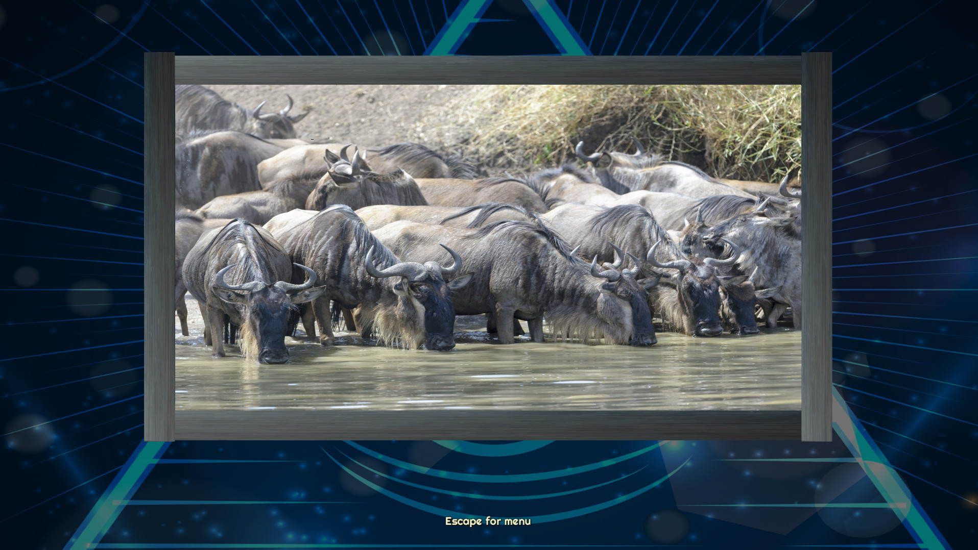 Trials of the Illuminati: Amazing Wildlife Jigsaws screenshot