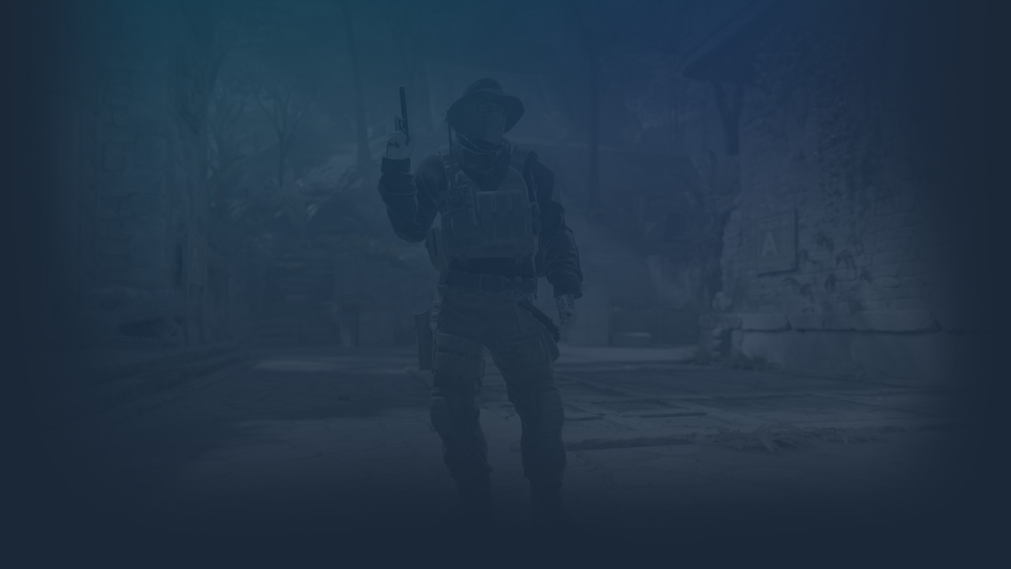 Counter-Strike: Global Offensive CSGO Paint banner : r/steamgrid