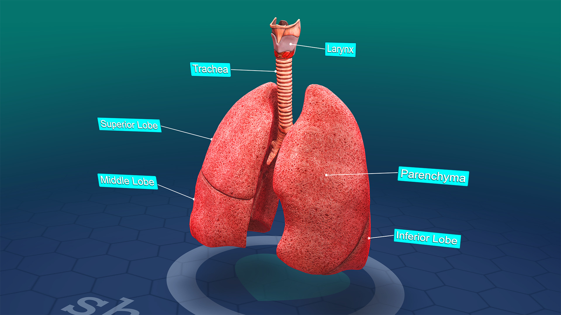 Sharecare VR 2017 screenshot