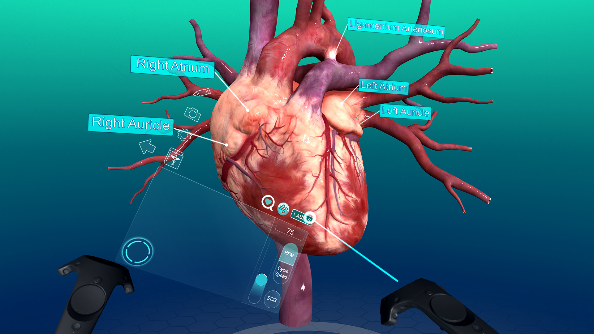 Sharecare VR 2017 screenshot
