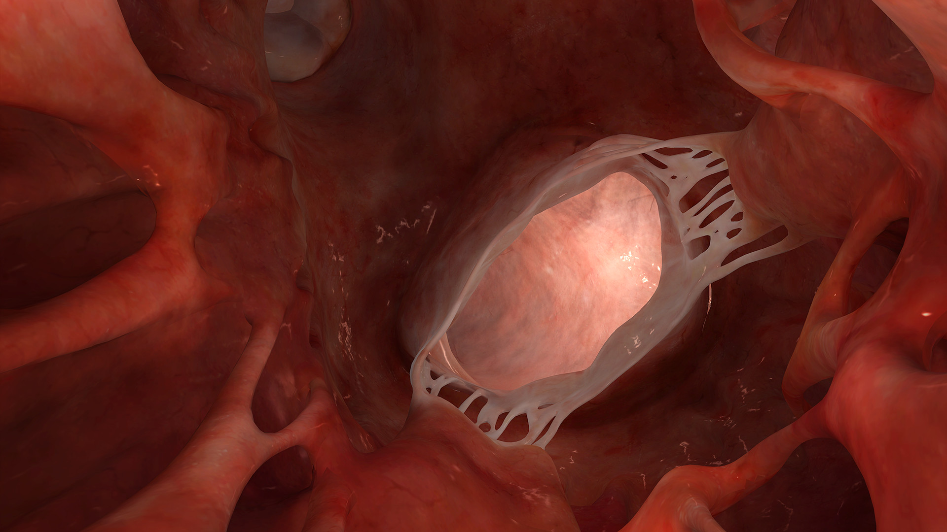 Sharecare VR 2017 screenshot