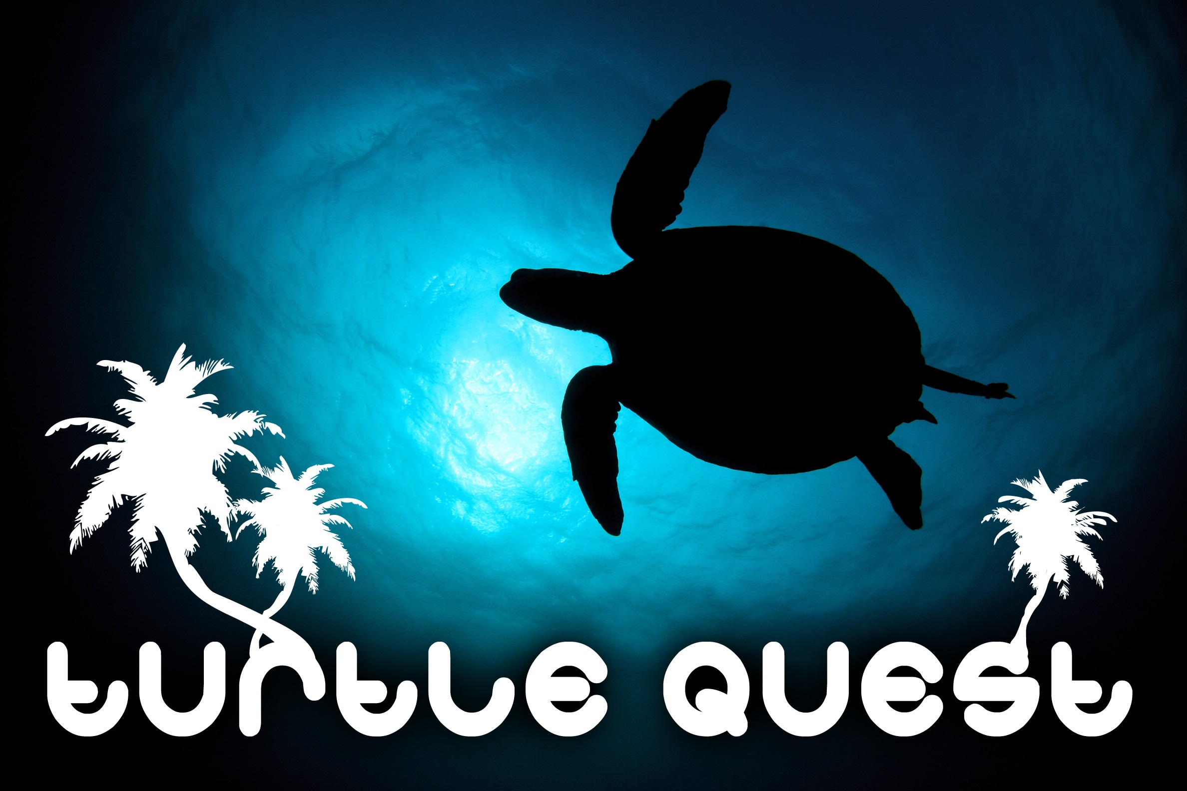 Turtle Quest screenshot