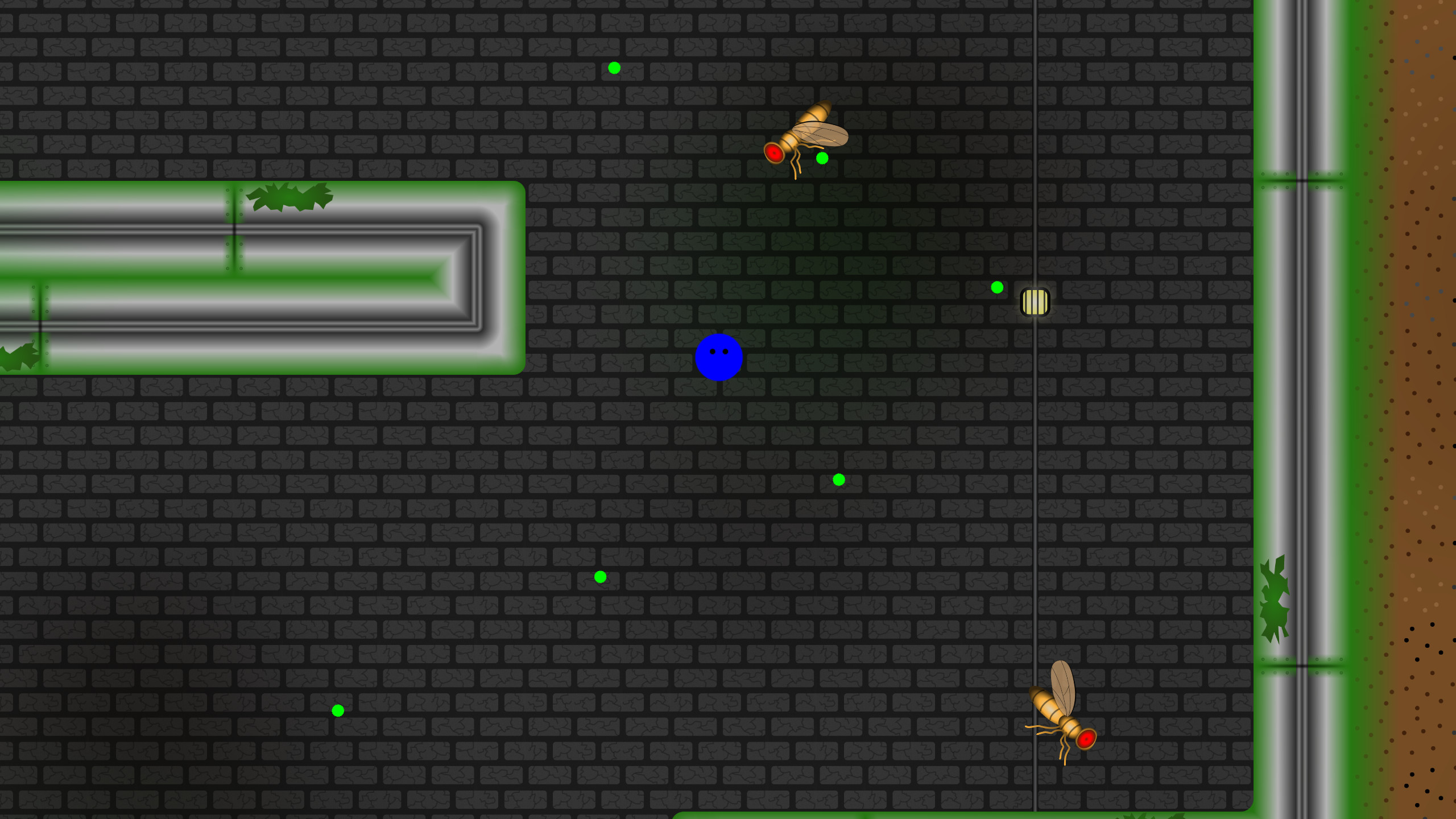 BioEntity screenshot