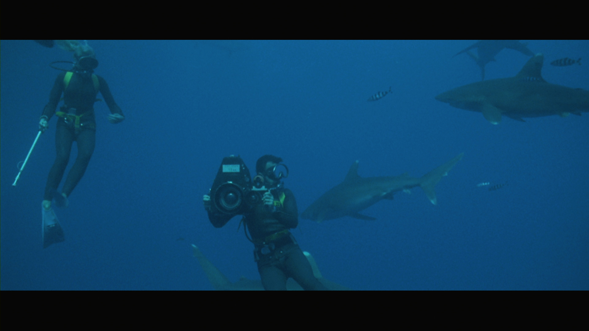 Blue Water, White Death screenshot