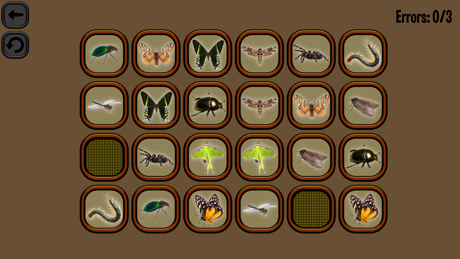 Animals Memory: Insect screenshot
