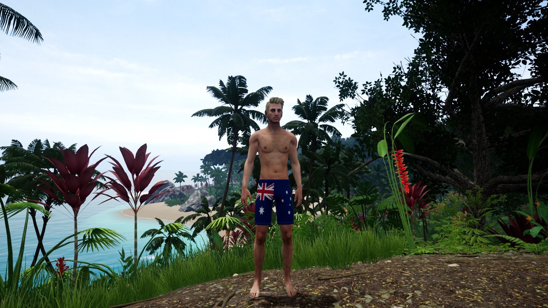 Capsa - Australian Clothing Patterns Pack screenshot