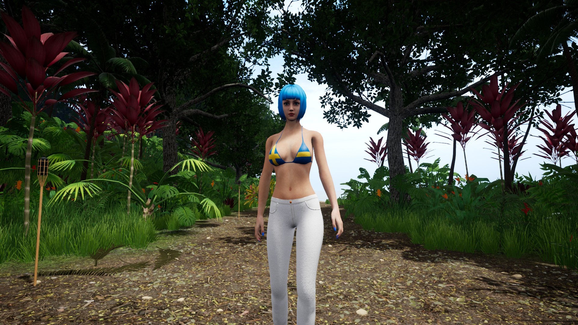 Capsa - Swedish Clothing Patterns Pack screenshot