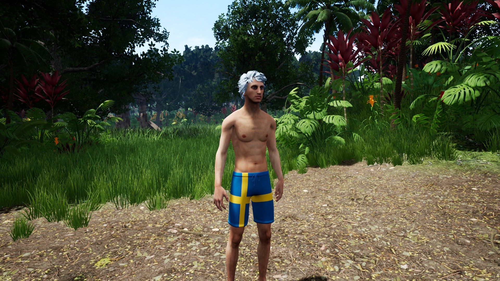Capsa - Swedish Clothing Patterns Pack screenshot