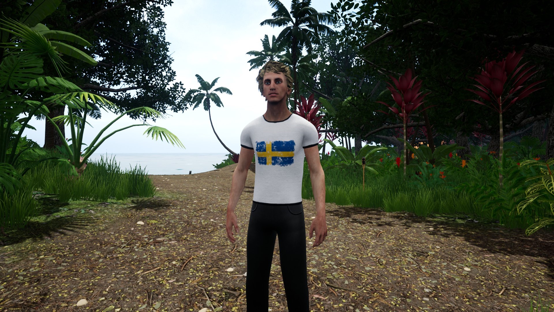 Capsa - Swedish Clothing Patterns Pack screenshot